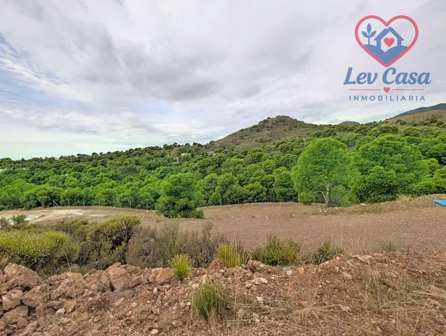 FINCA DE 10.400 M2 CON PISCINA EN SIERRA ESPUÑA — 120.000 € — 16
