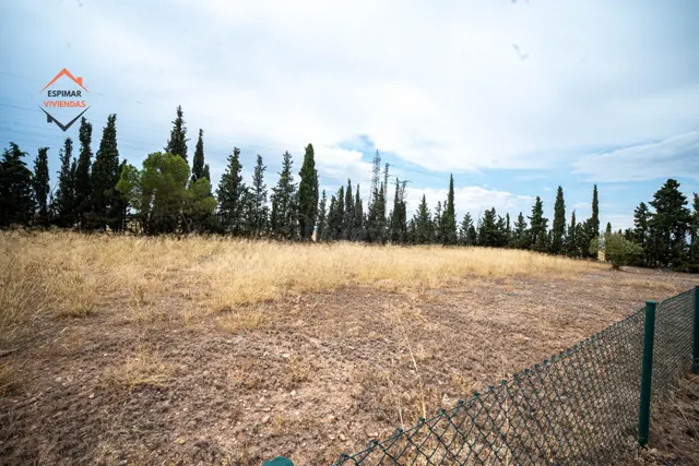 Parcela urbana de 1.000 m2 en Urbanización Las Lomas del Gál - foto 4
