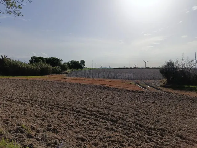 Parcela rustica de 9353 m en la zona de Las Cañadillas en Ch - foto 4