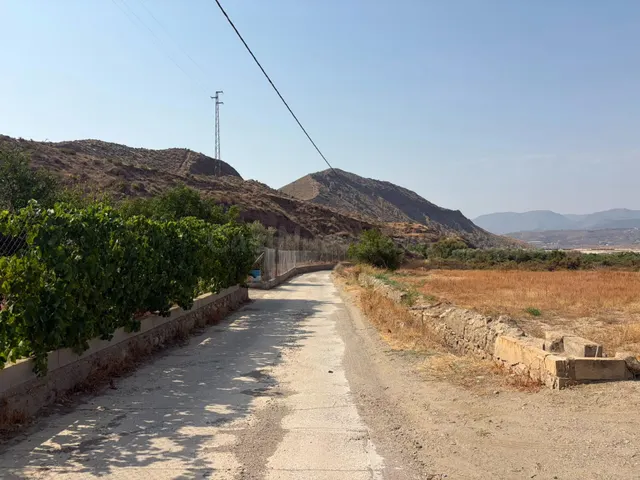SANTA FE DE MONDÚJAR (ALMERÍA) Finca de regadío en producció - foto 3