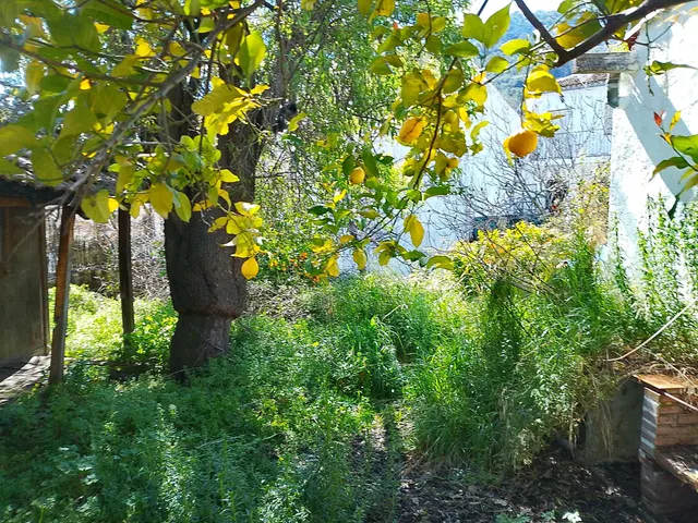 Finca ideal para construir tu casa. - foto 2
