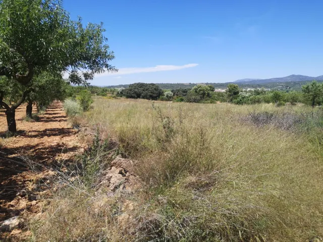 FINCA RUSTICA SECANO — 2