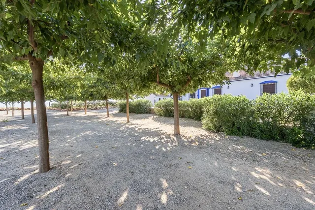 **NEGOCIO CONSOLIDADO DE EVENTOS Y ALOJAMIENTO TURÍSTICO EN UNA ESPECTACULAR FINCA ANDALUZA CERCA DE GRANADA** — 42