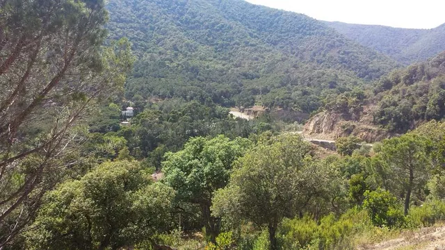 Dos parcelas contiguas urbanizables en Urbanización Rosamar - foto 4