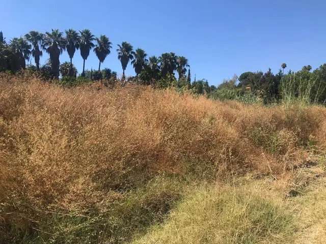 Parcela en venta - Costa Del Sol — 8