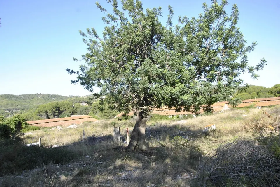 Parcela Rústica en el municipio de Cubelles, 5.560 mts2 Corral d'en Cona
