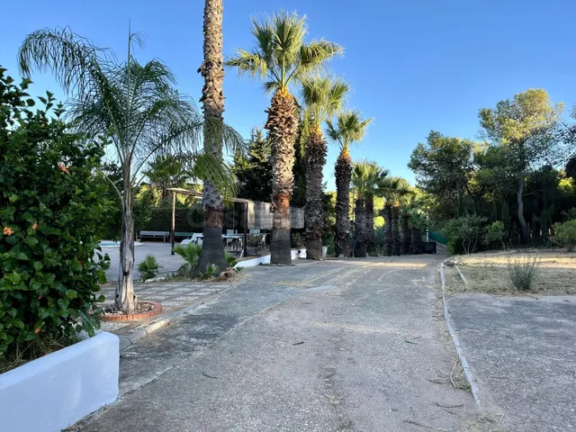Finca rústica en Ayamonte — 2