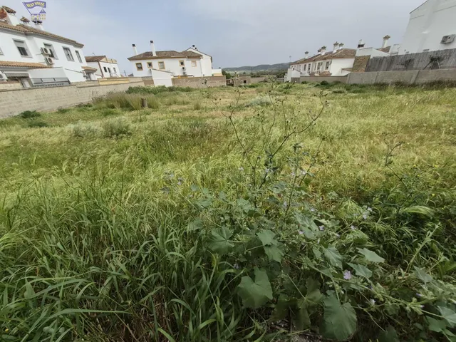 SE VENDE PARCELA EN ZONA DEL SANTISCAL - foto 5