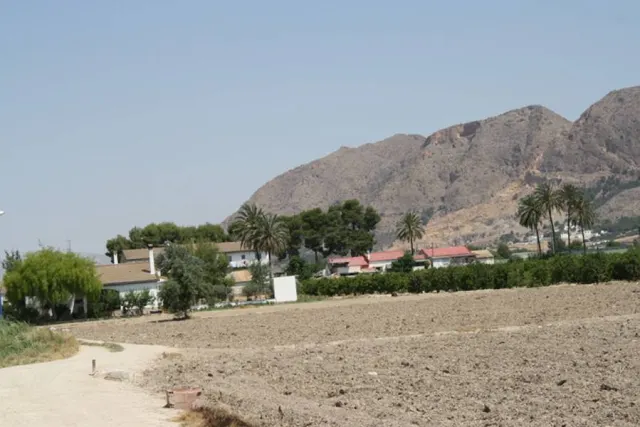 Parcela a las afueras de Orihuela — 11