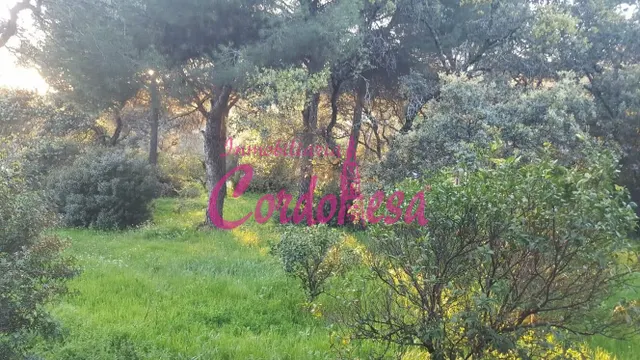 CASA CON TERRENO EN TRASSIERRA — 7