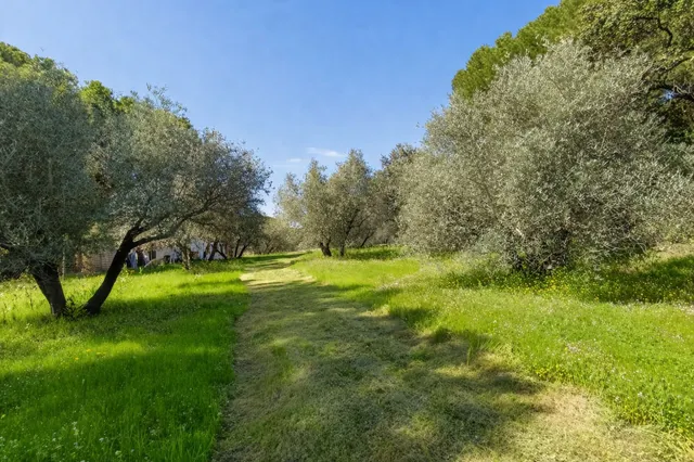 En venta maravillosa finca Rustica de Olivos — 37