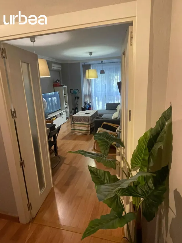 Amplia vivienda en Avenida de Andalucía – Málaga — 7