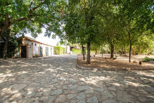 Espectacular finca en carretera mairena - almensilla !!! — 50