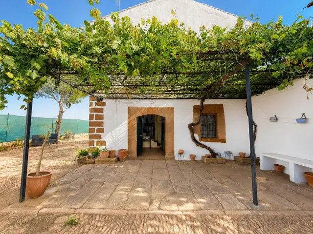 CORTIJO EN VENTA MONTORO - foto 2