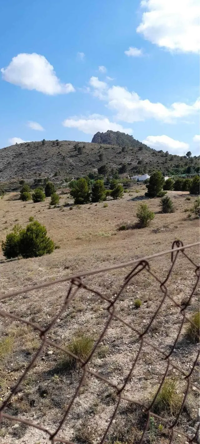 TERRENO RÚSTICO DE 40.000 M2 DE PARCELA EN CAMARA CON AGUA E - foto 3