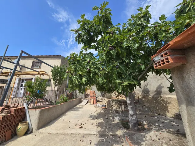 casa rodeada de zona verde — 8