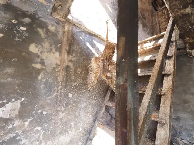 Se vende casa adosada en la pobla de l'illet — 9