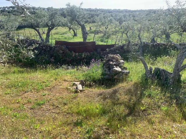 Paraje Carboneras, Casas de Millán - foto 3