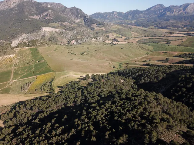 Impresionante finca edificable cerca de Málaga — 37