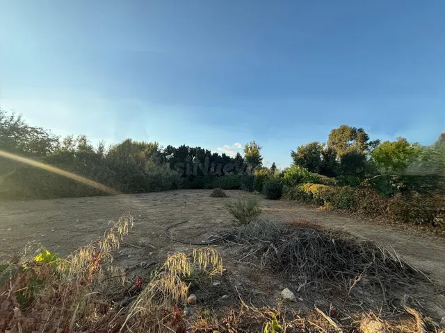 Parcela en Venta en El Alamillo, Córdoba - Oportunidad Única - foto 3
