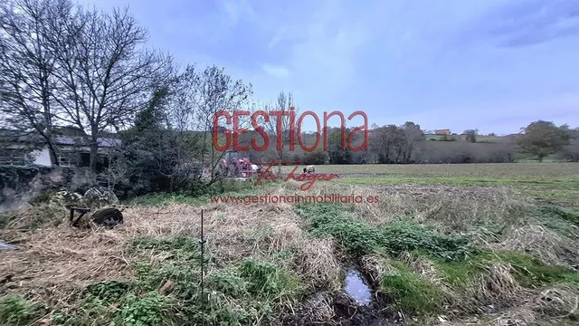 MAJESTUOSA CASA CON 100.000M2 DE TERRENO. LA CAVADA — 23