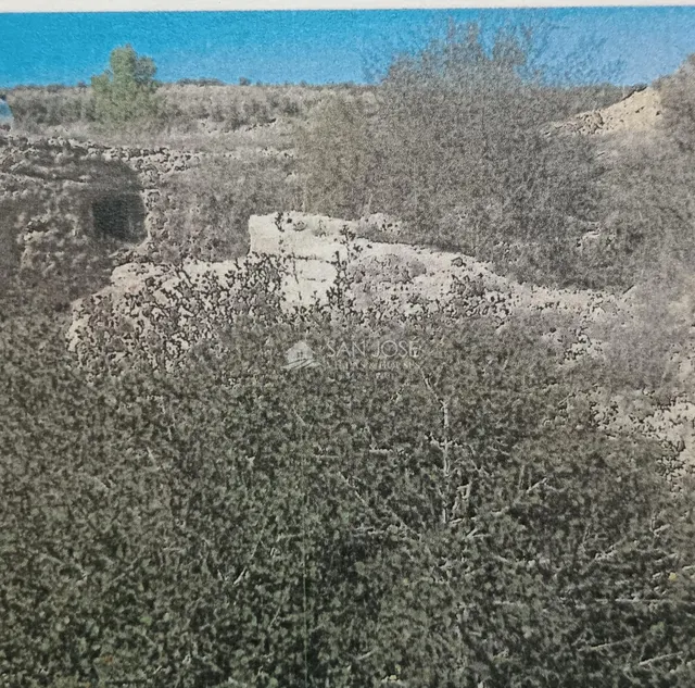 VENTA DE TERRENO EN MONOVAR, ZONA COLLADO VICTORIANO — 15