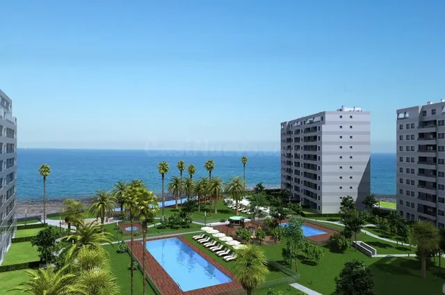 Ático 3 habitaciones en venta - Villamartín-Las Filipinas