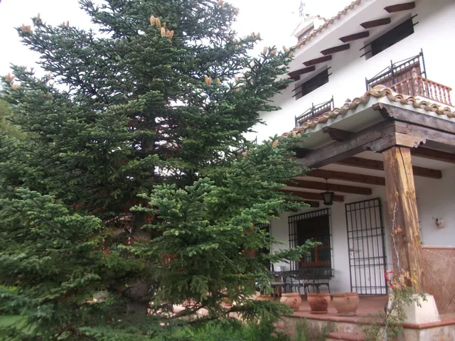 ¡¡¡ESPECTACULAR PARCELA DE 2264M, CON PISCINA, PISTA DE TENIS EN URB. AGUA SOL. — 19