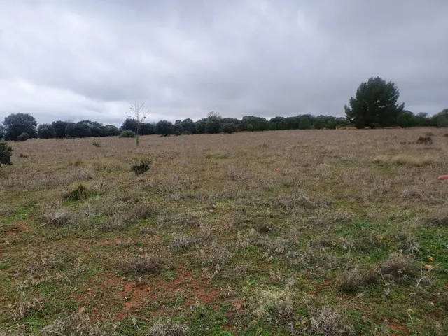 Gran oportunidad de Parcela con unas vistas Privilegiadas en los La Dehesa de los Hueros — 4