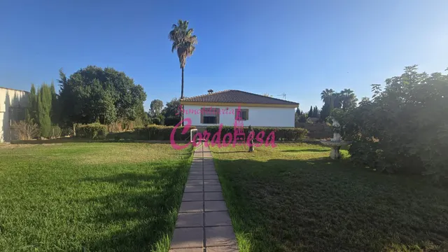 Oportunidad de Casa con Terreno en Villarrubia, Córdoba — 16