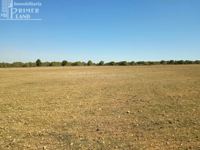 Se venden 11 hectareas de tierra de secano en el paraje La C - foto 3