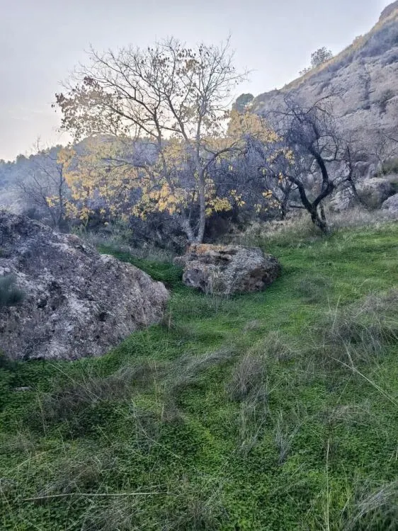 Parcela en venta - Alora pueblo — 11
