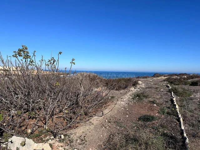 Oportunidad Única en la Manga del mar Menor 4 parcelas