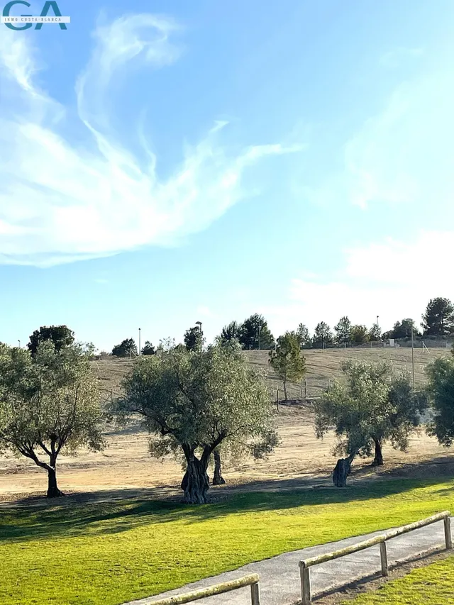 Parcelas en Alenda Golf – Vistas al Green y Máxima Edificabi - foto 4