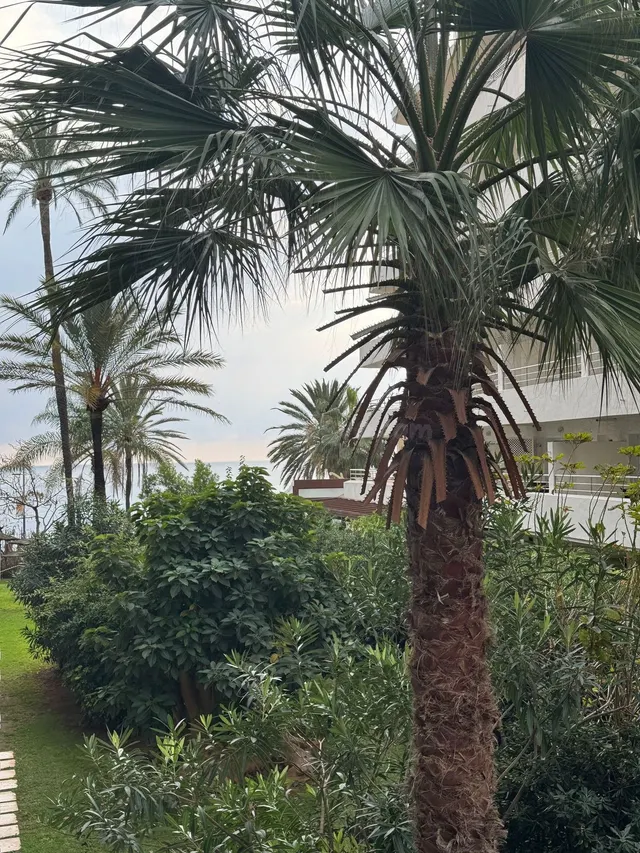 Apartamento 1 habitación 49m² en venta - Marbella — 5
