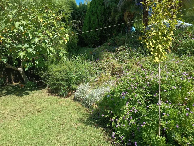Estupenda casa en Alcolea - foto 3
