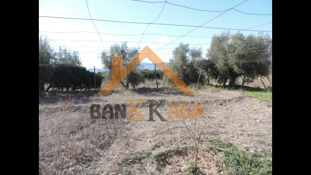 SE VENDE TERRERENO RURAL EN BERJA CON CORTIJO — 26