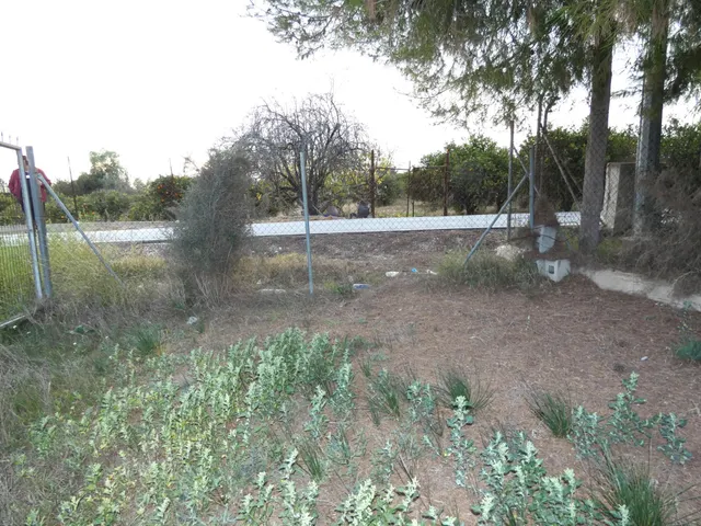 +NO ES SOLO UN TERRENO. ES UN CAMBIO DE VIDA. EN LA LOMA TORRES DE COTILLAS+ — 11