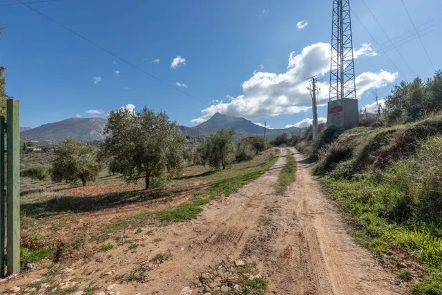 Terreno rústico en Cogollos Vega, con toma de luz y agua en la entrada — 2
