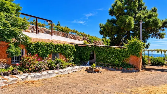 Finca exclusiva en Vilaflor · 2 viviendas, viñedo, bodega y piscina — 69
