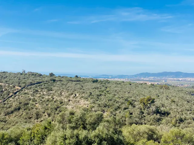 Magnifica villa en construcción en Son Gual — 16