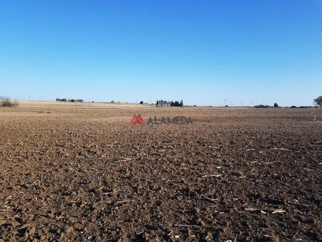 PARCELA SEGREGADA MIRALAMAR — 16