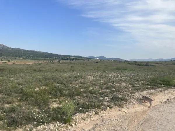 Parcela de terreno de 69000 metros — 7