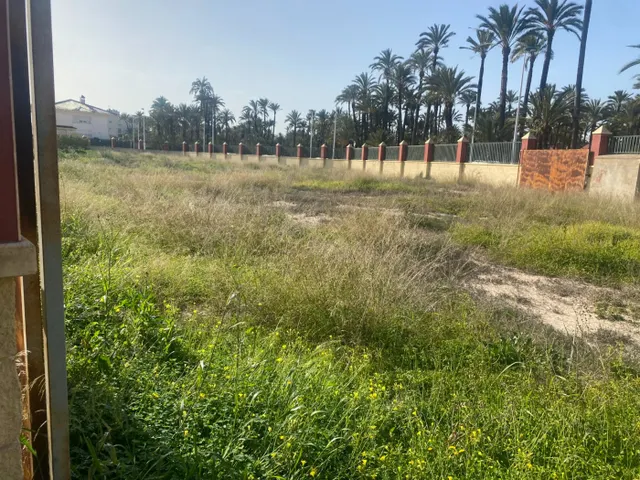 Exclusiva Parcela de 250 metros en La Torreta, Elche — 12