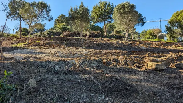 Parcela en venta - Sotogrande - Alto — 9