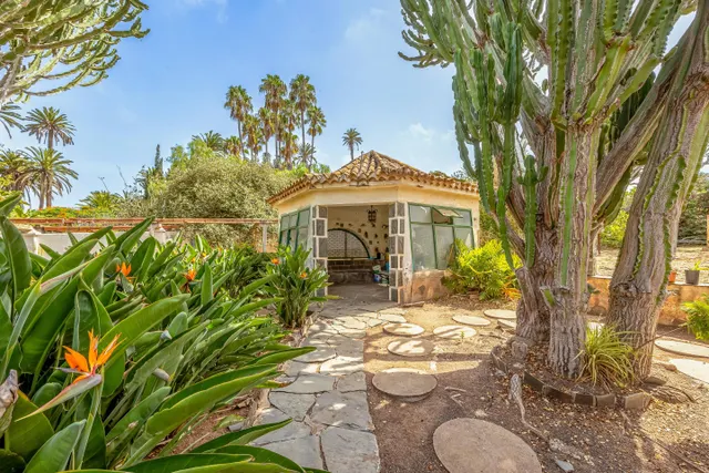 Casa con encanto en tafira, amplia parcela y construcciones auxiliares — 10