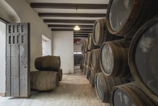 Casa palacio en pleno centro de sanlúcar — 14