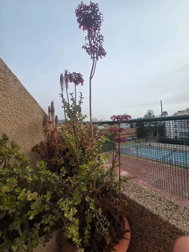 Piso de 150 m2, 4 dormitorios y garaje a un minuto de la playa — 26