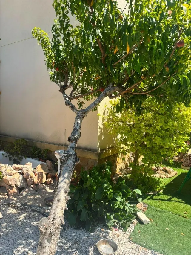Villa 2 habitaciones 68m² en venta - Lomas de Cabo Roig — 24