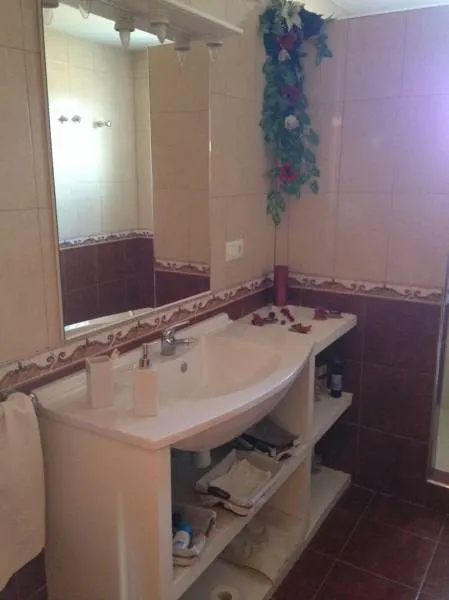 Chalet con terreno plantado — 20